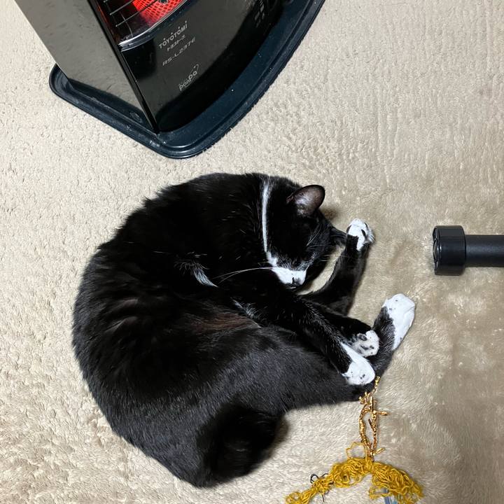 598ba67e 8b85 442f 9387 e241bfa429b5 1702006153465