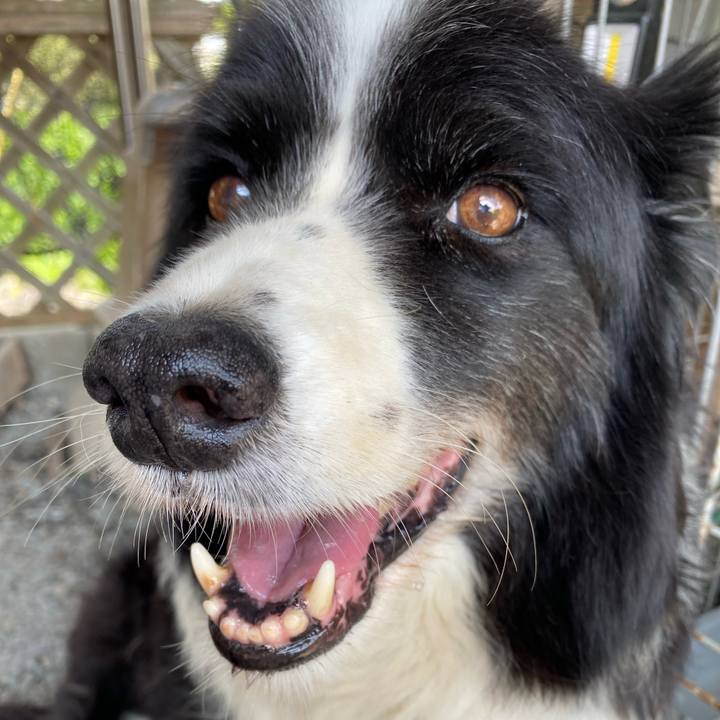 598ba7ba 19f1 4c3d 8d83 db87595709a9 1694321165849