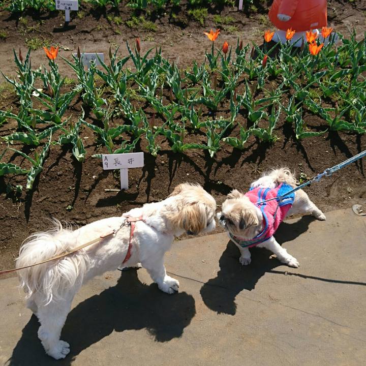 598ba80e 0b73 4033 ade7 ec324f66eafb 1555143593267