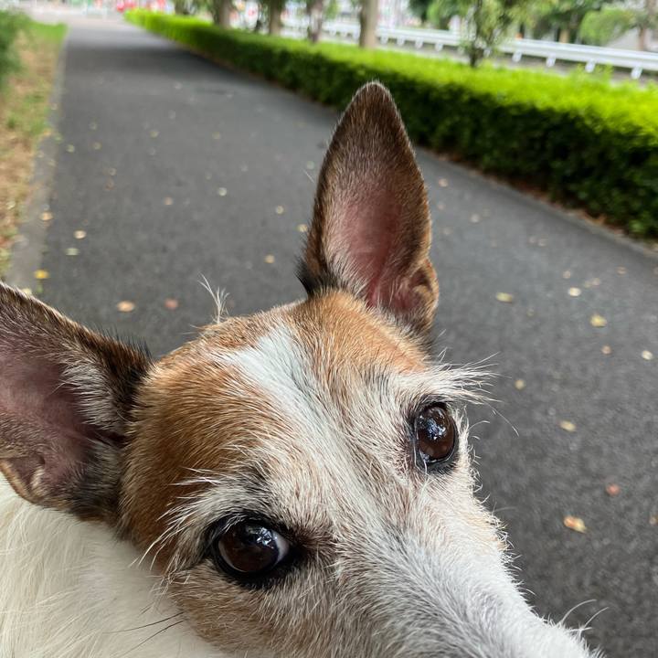 598bcab0 d398 4111 b7ad 3ba307daa966 1693351150284