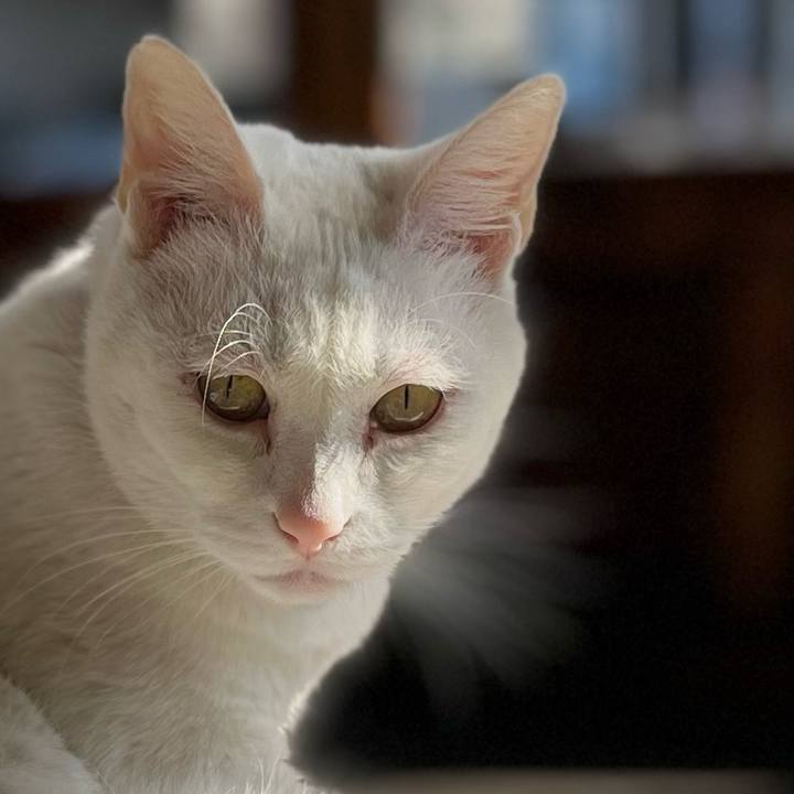 598c0541 5eea 4bea 813c 69f69a7b86de 1768636472247