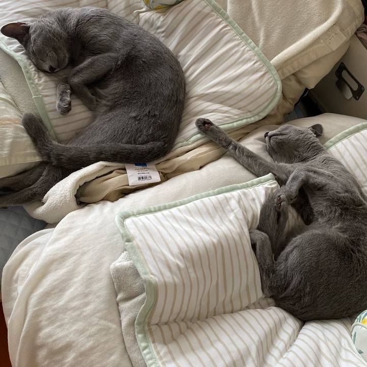 598c0ced 8599 4cb1 9a5c 4f1051d57671 1627212606385