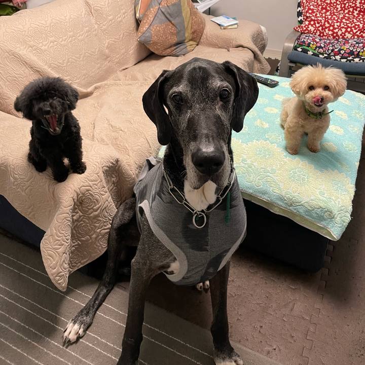 598c2d96 c6d5 41cc 8830 4da7e07a7184 1620860987436