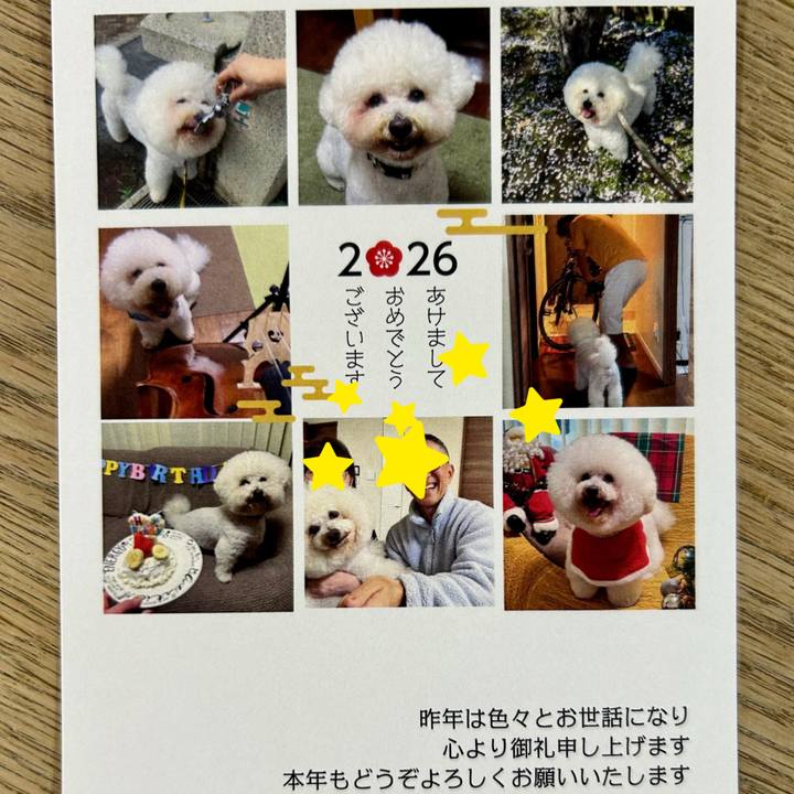 598c5708 3db1 4dc9 a87e 910e35bcdf63 1767329277247