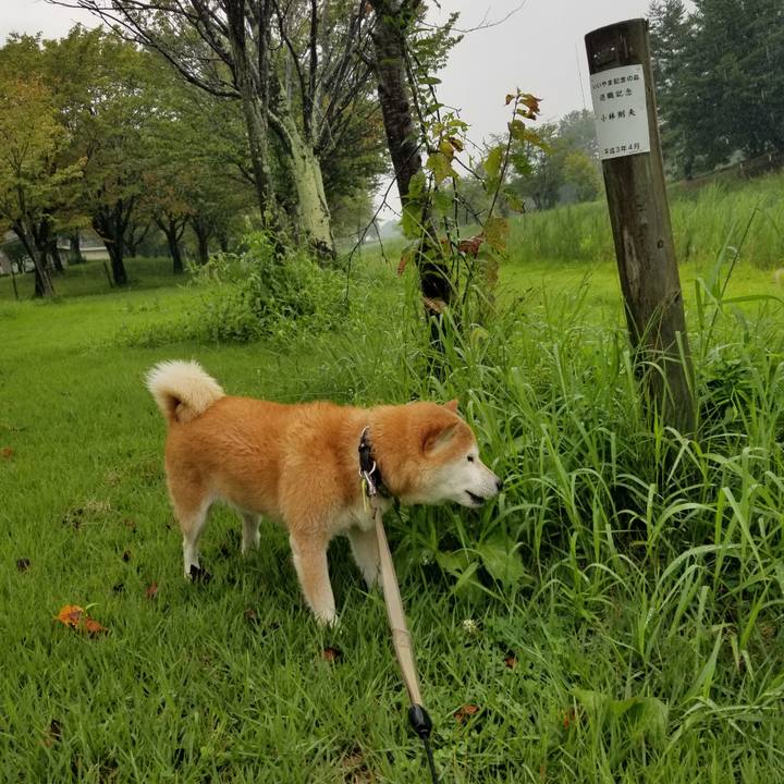 598c66d0 c6de 4e34 a297 a8356469a752 1660975526185