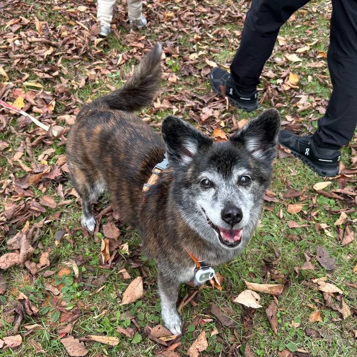 598c8c53 6f32 4331 bd24 6456cc4c96dd 1764287220235