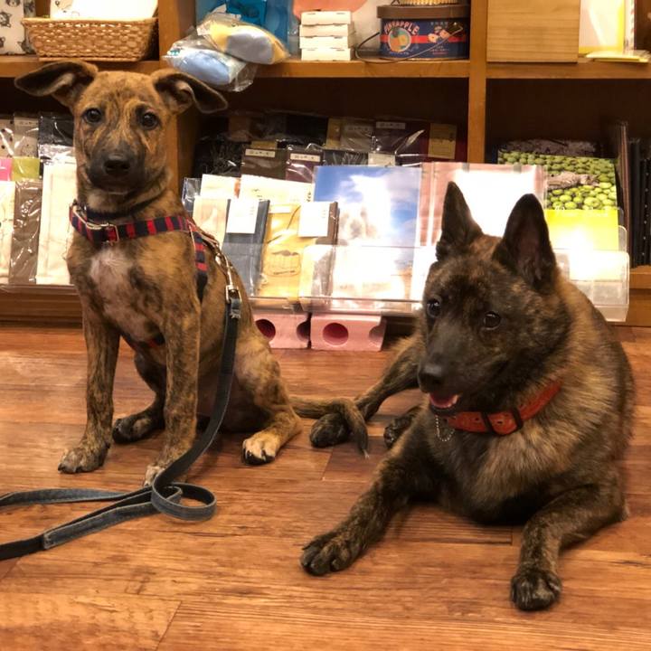 598c9eac 2613 4f57 b54d 96548cdd163d 1569166837670