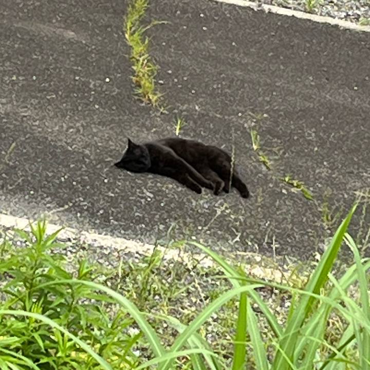 598cd11d f173 47d0 9f6c fd6243772943 1686387839874