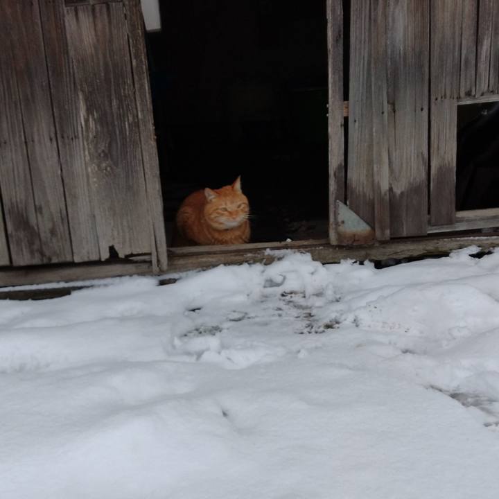 598cff79 1c41 4b36 bec7 239bb9da6a00 1673393429881