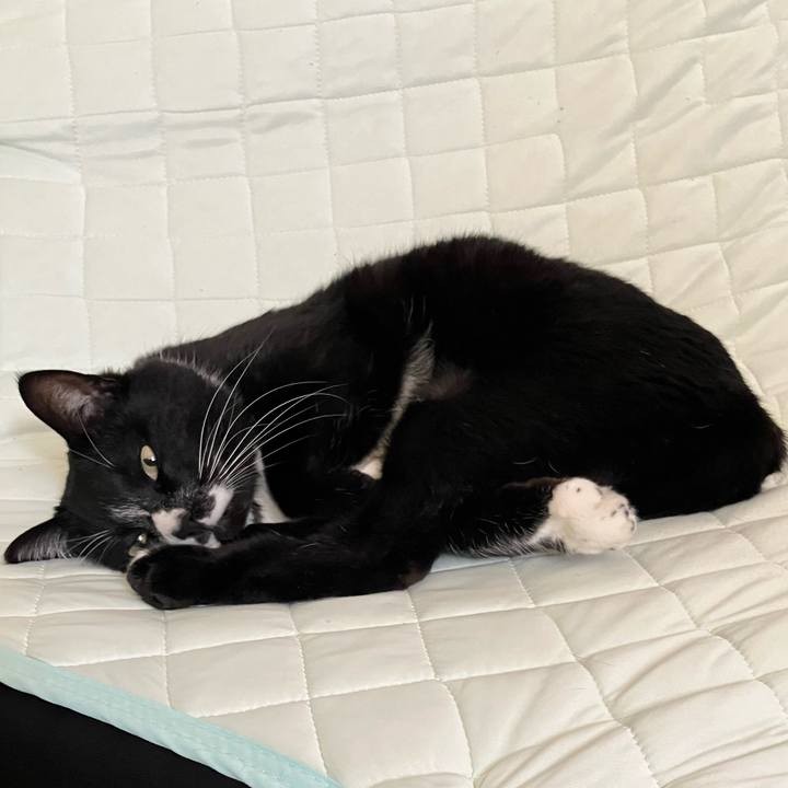 598d1d47 2eee 4e53 818d bbae05fb7287 1684985199338