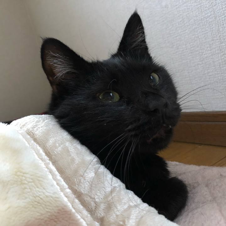 598d1ef9 48e3 4184 bb1a c5d081657feb 1561239850105