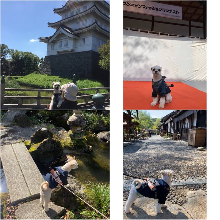 598d52a4 2539 47f8 a1b6 68c6ac03c10f 1571797864622