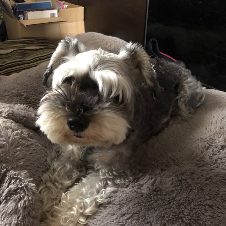 598d5fd4 72c3 4806 9125 365742c3d1de 1562039078366