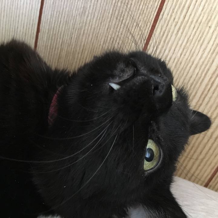 598da8b7 8be1 494d ab30 0996eff5683e 1556081995766