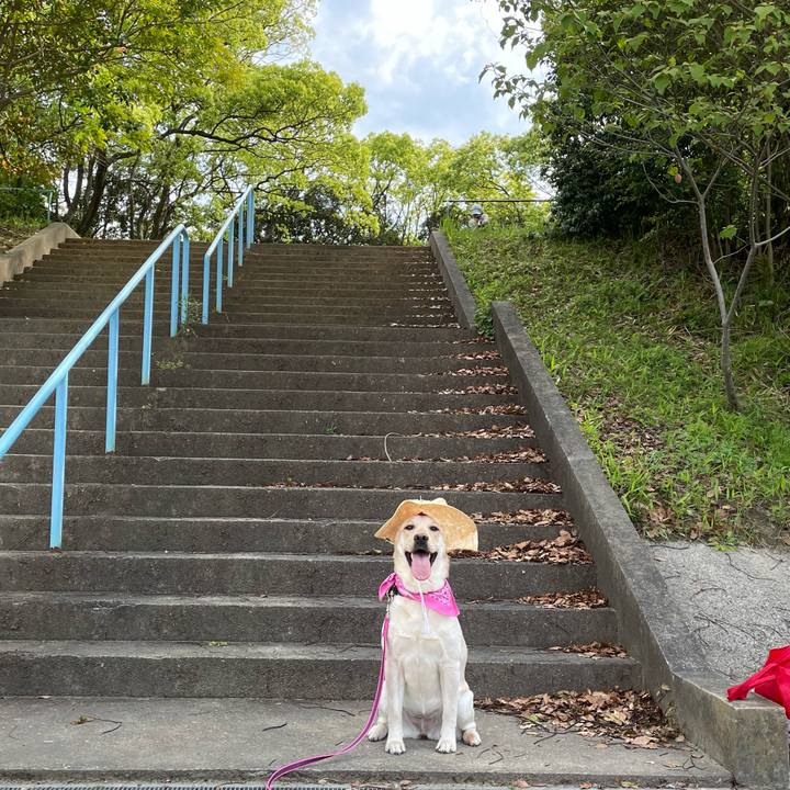 598dfa4d da90 4ae9 98ee 16e760cfbdde 1651743980677