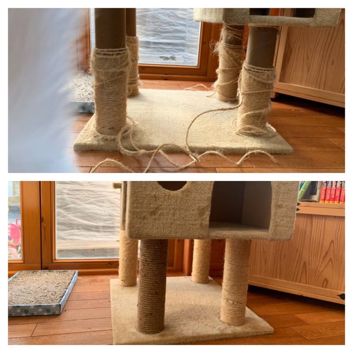 598e5138 54a2 4a15 b228 a5eea83138c1 1572158173553