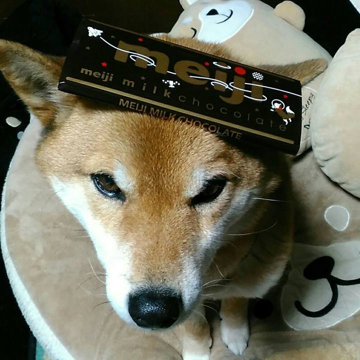 598e51c2 8d75 4eec ac60 03dc4ece889f 1549875531541