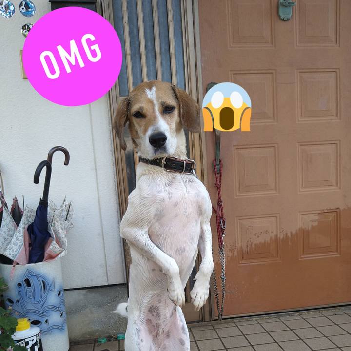 598eed67 3000 4dbf aea2 42234003082f 1633581960907