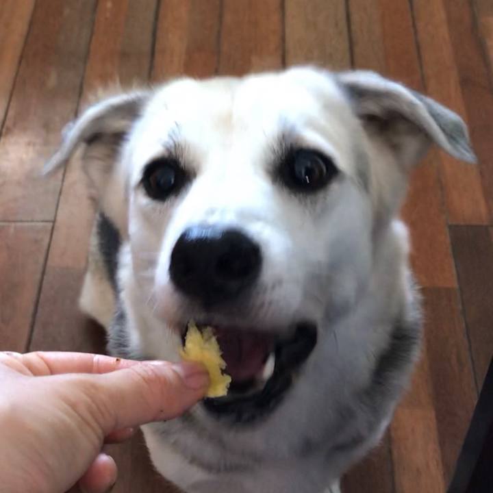 598ef00d 7869 4860 ba3a c126500b8c95 1563849149286