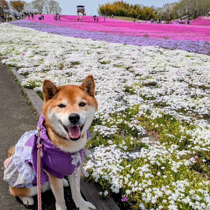 598ef1a4 8745 46d6 af72 a5e98c2f8d86 1745406730980