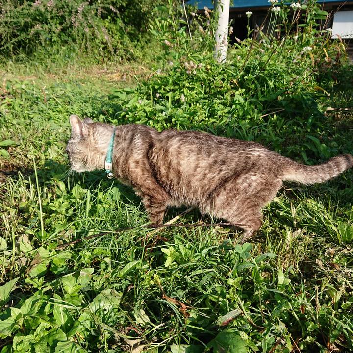 598f1f3c a374 4a3a a073 520b4c1f32b6 1567907727192