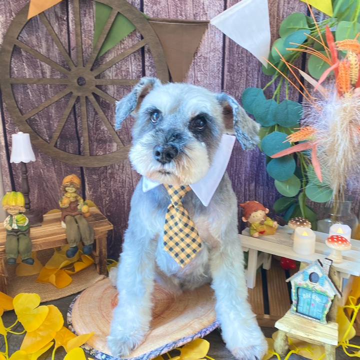 598f2c7d a765 43d2 b278 369989a65810 1725674459883