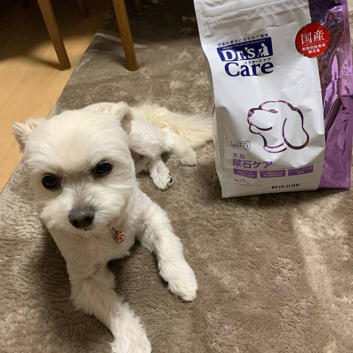 598f43ed 0771 41f9 8bdd d6a552e7b68f 1618485050009