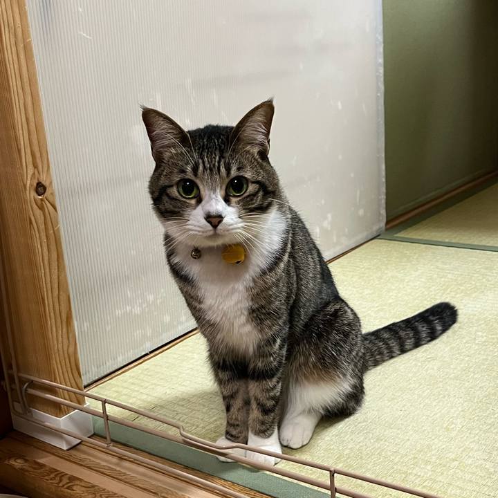 598f5fd1 8876 4a66 b03c 27194606f6c1 1771372808236