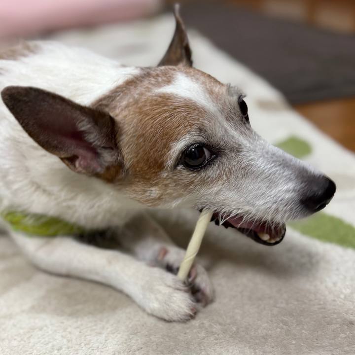 598f7609 36c9 40f6 8596 7011d1a1fde2 1758237889893