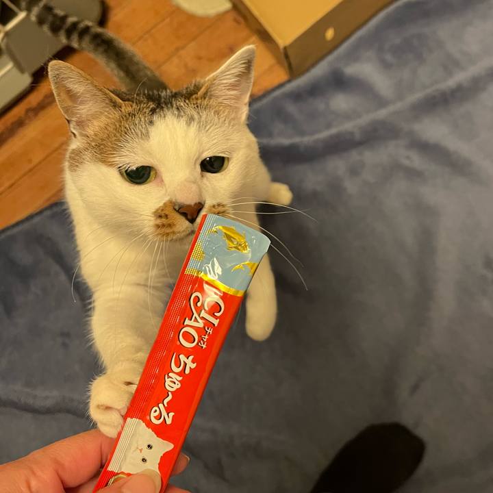 598f8995 88c9 4f6d b0d5 12a9e1dcd109 1671969182960