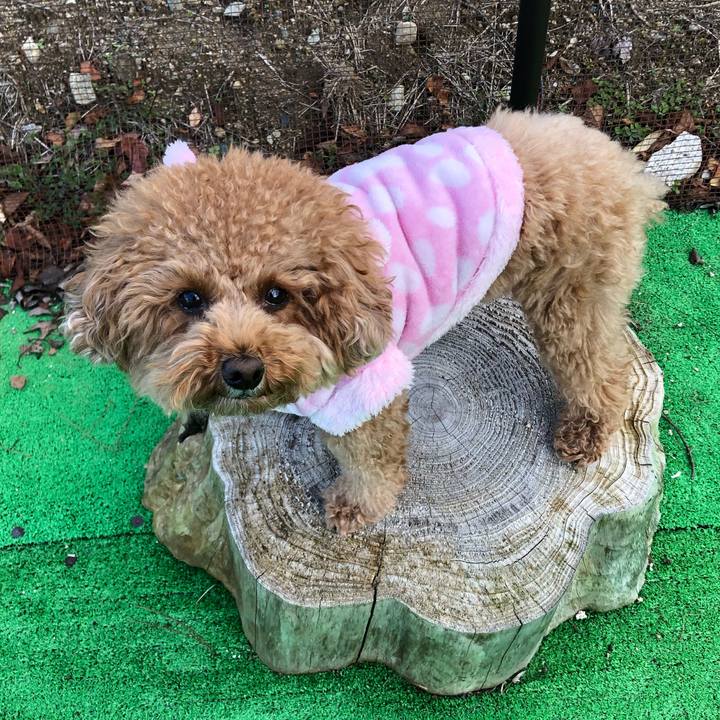 598fad86 bd78 43b8 a282 a8485e317f5e 1605103129691