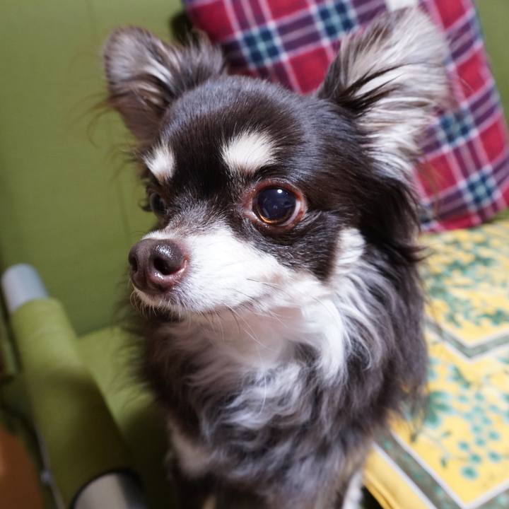 59901f14 0455 48e7 ada2 fe51bee89e3b 1583582471854