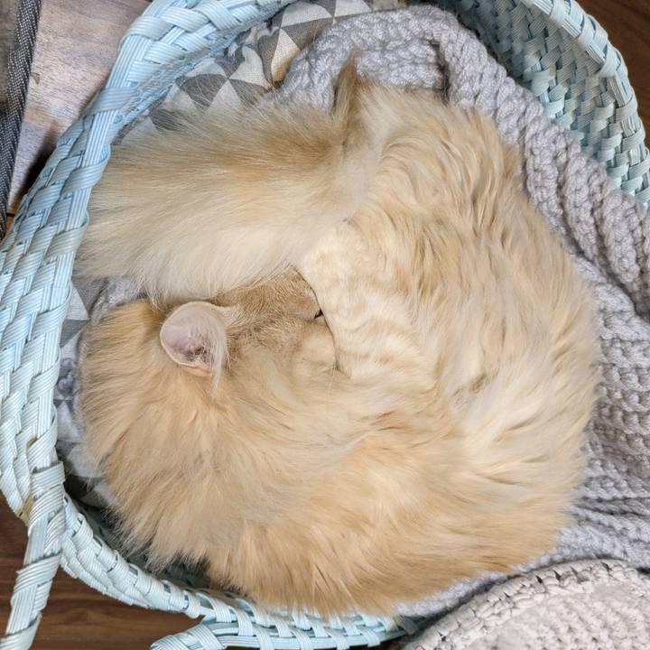 599023e8 03c6 429b 9ec5 3c2526883897 1772210510870