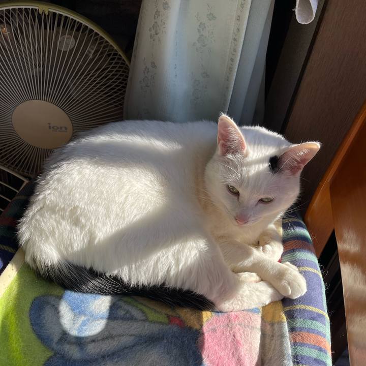 59909742 cbdb 4ca9 add0 f2a877e99896 1768185949156