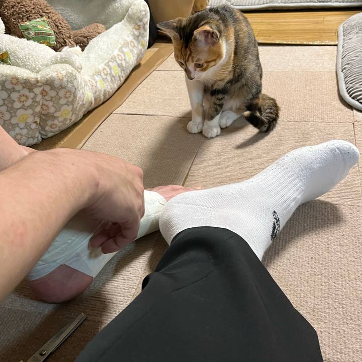 5990bb43 e301 434d a706 063034373a4f 1656157424097