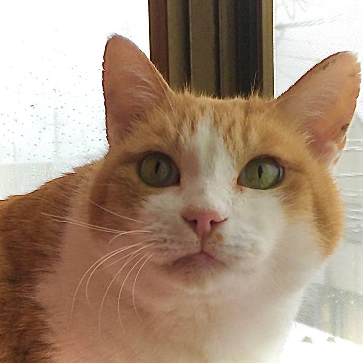 5990bc81 5503 4b3d 8d70 15e49196a301 1609407107502