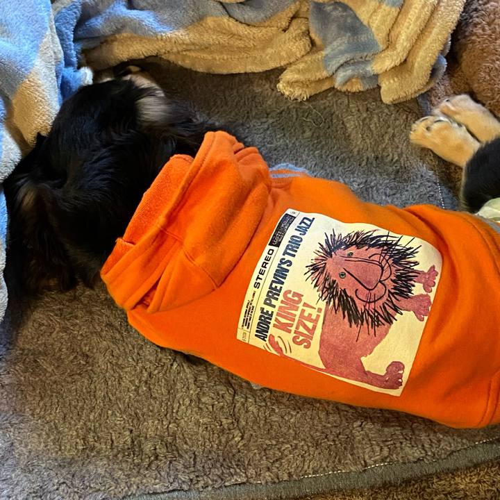 5990d7bf 15a7 487c 80bc 2eb14169942c 1675987761427