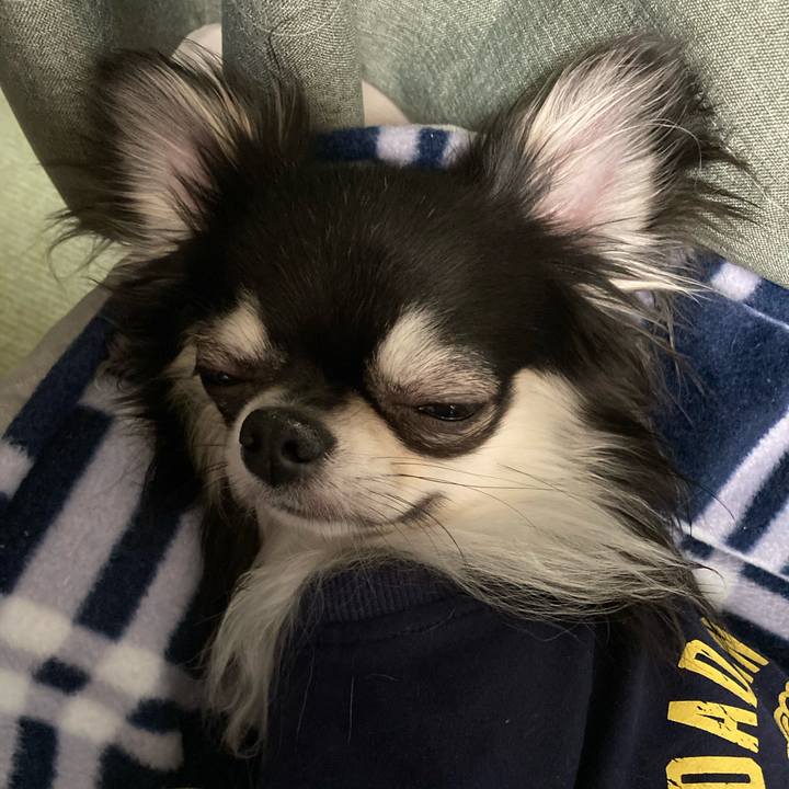 5990d846 262f 4cfe bca1 6cb526552f40 1616902550393