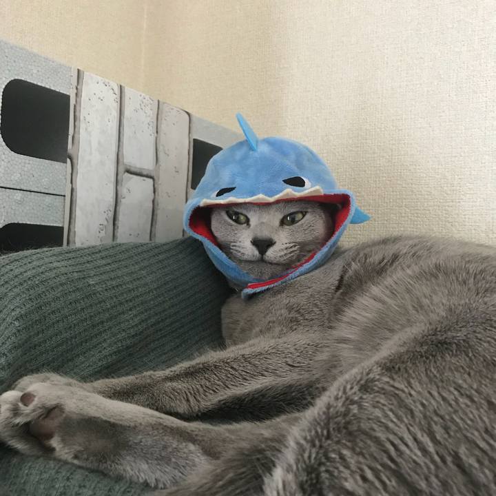 5990e4c7 6e82 4921 9b5e 805e1452d0c0 1536580444348