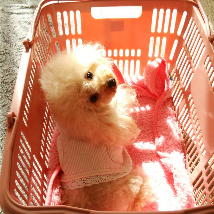 599121f6 421b 461a 8cad 21845d427fb8 1515635379102