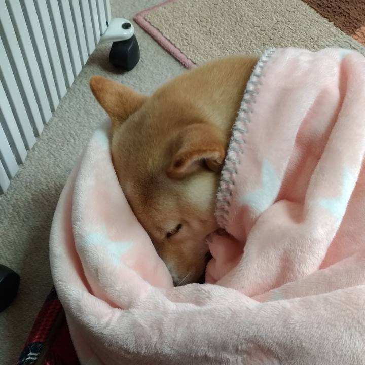 59913c22 4309 49a2 8a7e 14b90c13dbf8 1547517375462