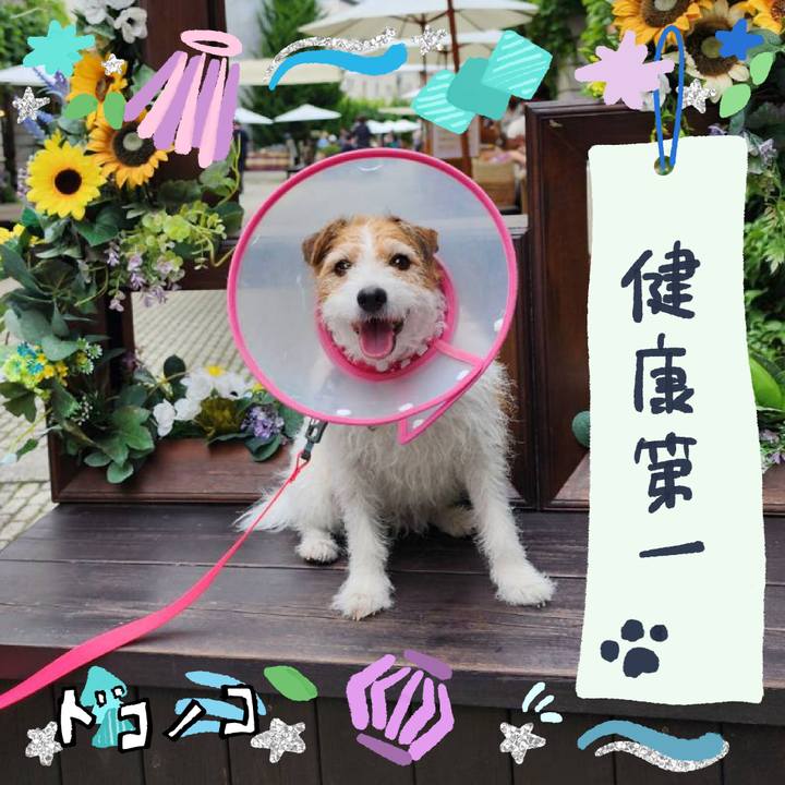 5991687b 9ffd 4afe 8696 2bd7c9749817 1720912561028