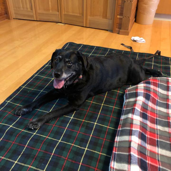 59917192 9b91 4dbb abcd e294c22f3027 1616313371243