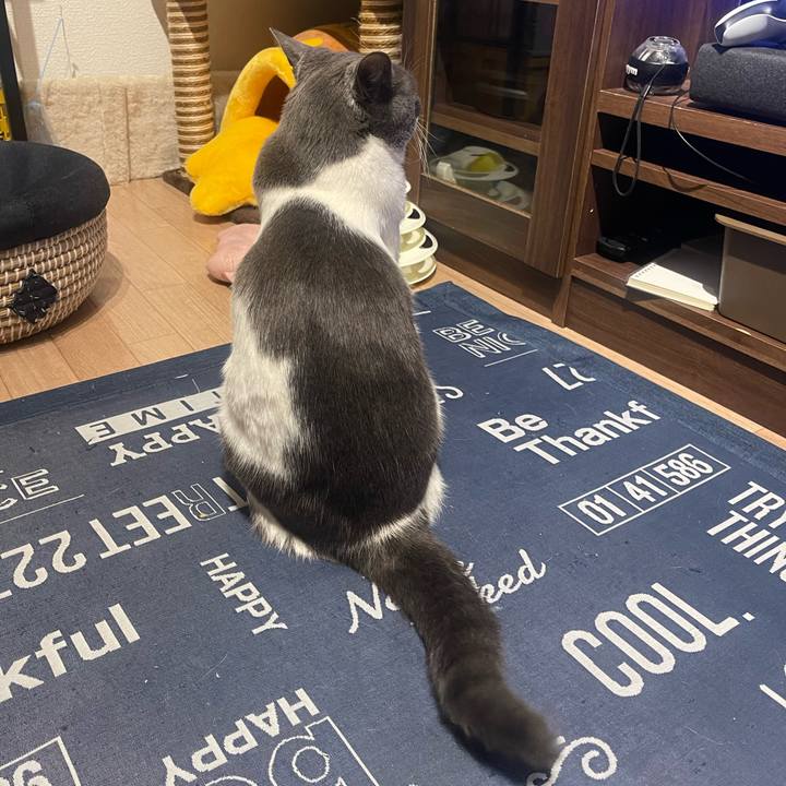 59919055 3ac8 4bab 8c28 cf8baefb09ba 1712843132874