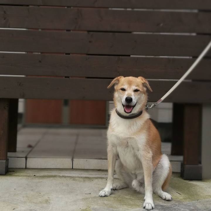 5991a32c 9779 4e48 ae30 4362a574a458 1567992533839