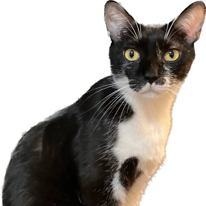 5991cd0b 6223 4da9 b949 d97fad02aa0c 1695426604130