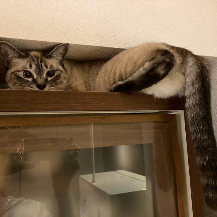 5991df0e cb65 4a2d a772 919aa1e7890e 1687527043577