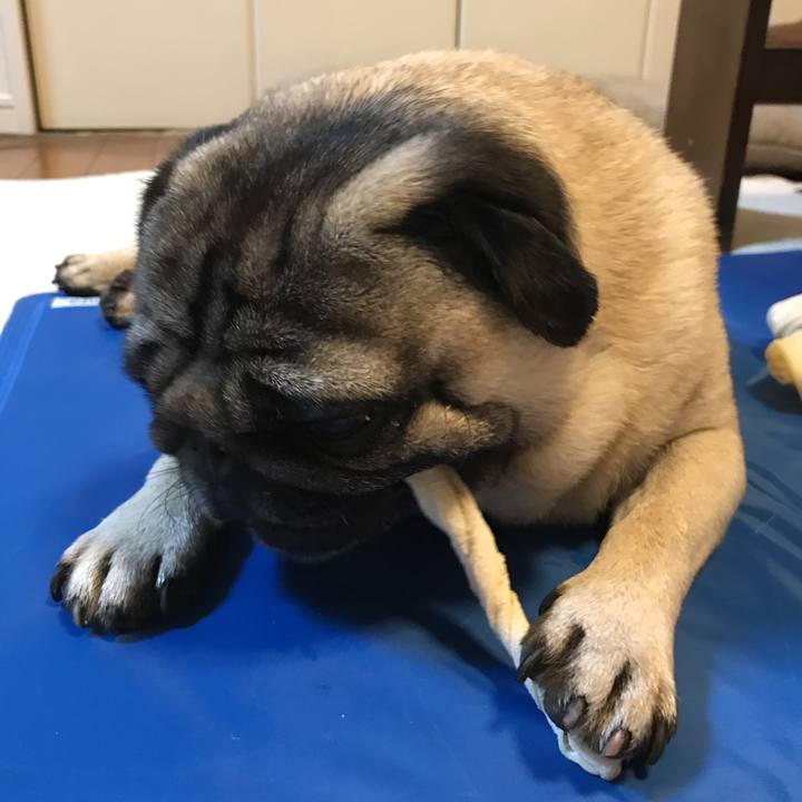 5991f9a2 52a5 46fe a6a6 f6d3e52e00e6 1530012449662