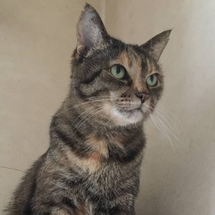 59920830 7a96 474c 8152 4d2dfd15049b 1549950111968