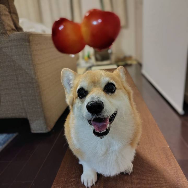 59921cf3 439c 4dda 8002 c1aba5c5221d 1750771967983